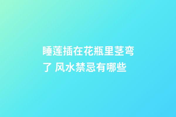 睡莲插在花瓶里茎弯了 风水禁忌有哪些